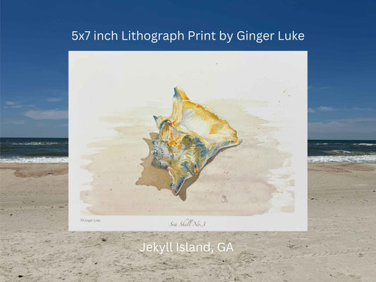 Sea Shell No. 3