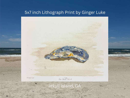 Sea Shell No. 4