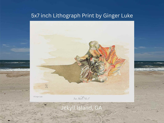 Sea Shell No. 5