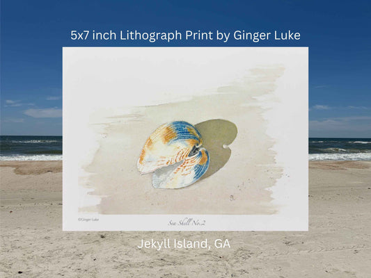 Sea Shell No. 2