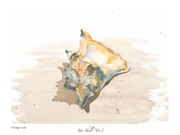 Sea shell watercolor wall art,  sea animal art print, fine art print 