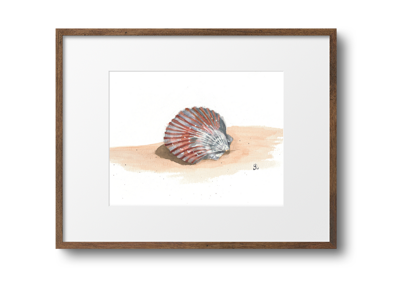 Sea Shell No. 6