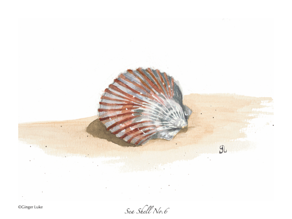 Sea shell watercolor wall art,  sea animal art print, fine art print 