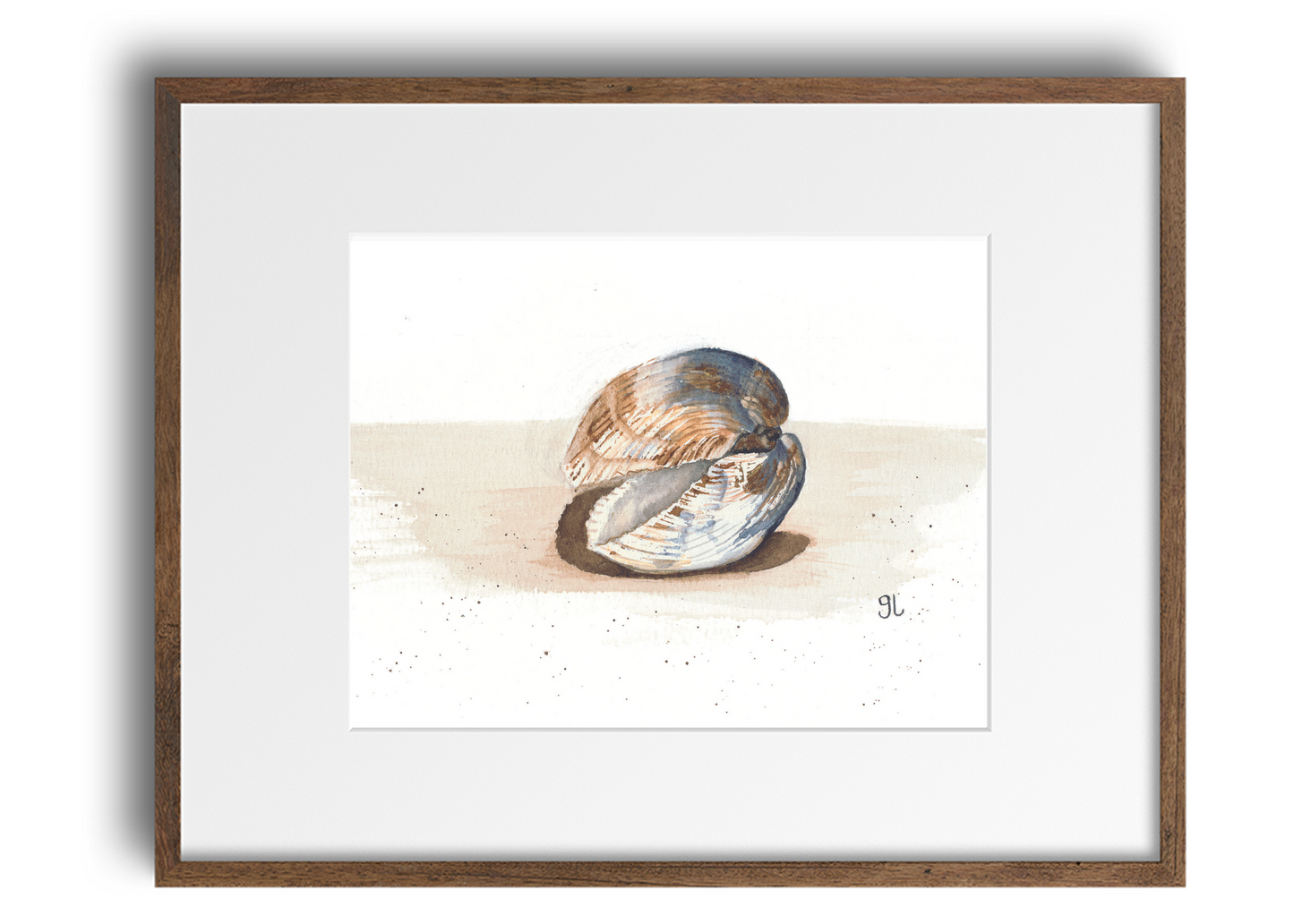 Sea Shell No. 7