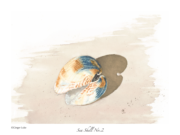 Sea shell watercolor wall art,  sea animal art print, fine art print 