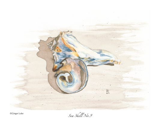 Sea shell watercolor wall art,  sea animal art print, fine art print 