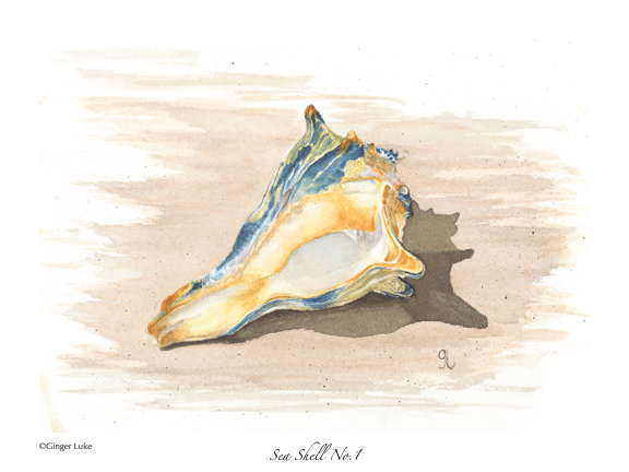 Sea shell watercolor wall art,  sea animal art print, fine art print 