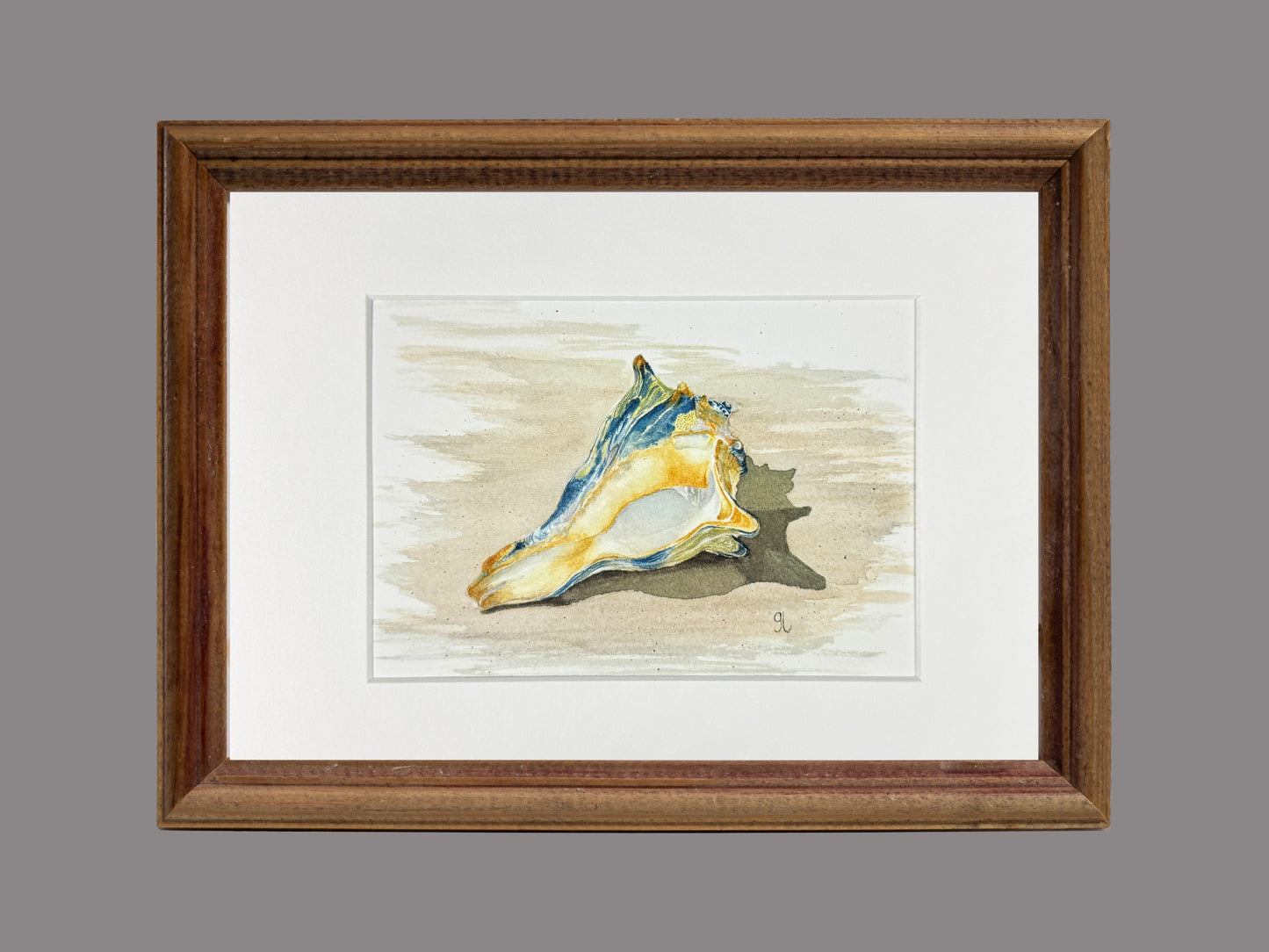 Sea Shell No. 1